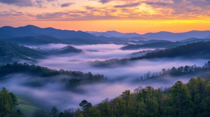 Fototapeta premium Misty Mountain Sunrise Landscape