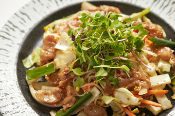 stir fried pork with vegetables