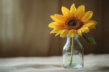 Fototapeta premium Radiant Sunflower in Glass Vase Against Plain Background, Bright Yellow Flower with Dark Center, Natural Beauty and Simplicity