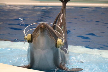 鹿児島県鹿児島市　いおワールドかごしま水族館