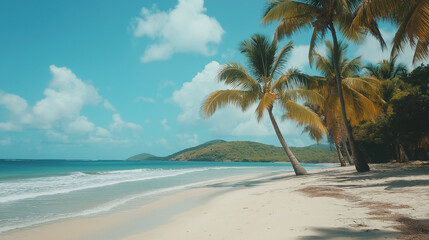 Tropical Sandy Beach with Soft Blue Ocean Waves and Clear Water 