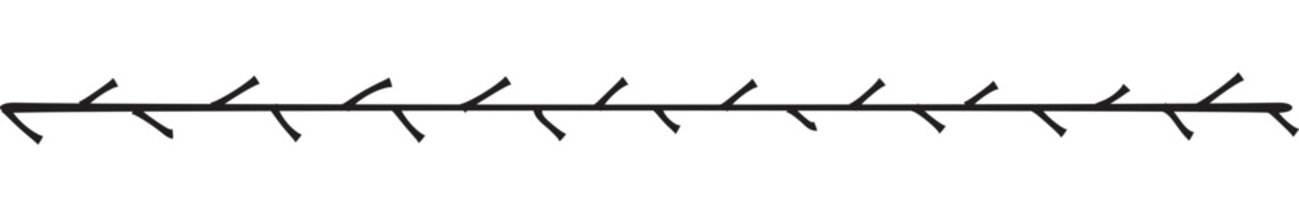 Decorative border and dividers