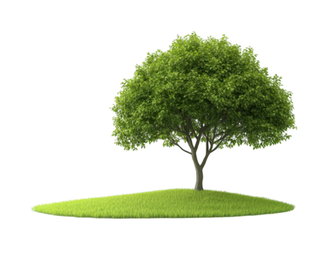 Serene landscape, a solitary tree stands in vibrant green field beneath vast blue sky.