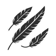 Feather isolated on white background. Set of feather.