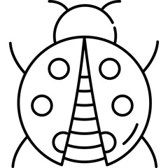 beetle bugs Outline style illustration 