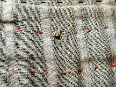 Torn fabric. Frayed cloth background for sample, presentation, safety issue, excessive acid wash warning etc