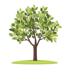 Leaf Branch Twig Clip art Woody plant Trunk Plant stem Graphics