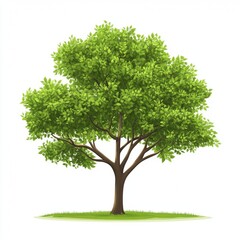 Obraz premium Branch Leaf Twig Woody plant