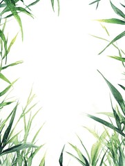 Bamboo Plant Illustration