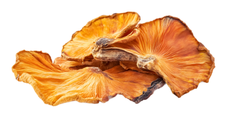 Tropical dried treat on a transparent background. isolated background.