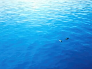 Fototapeta premium Calm blue sea water surface with fish swimming, underwater, water