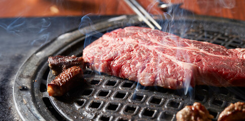 grilled meat on the grill