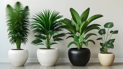 A photo of a lineup of four potted plants. From left to right, there is a tall, feathery green plant in a white pot; a bushy, vibrant