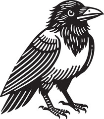Crow vector illustration in black and white