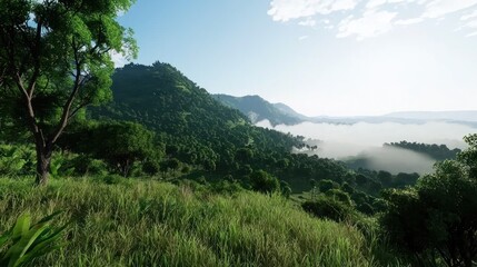 Misty Mountain Landscape