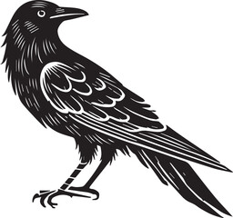 Crow vector illustration in black and white