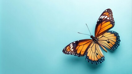 Obraz premium Beautiful butterfly on a light blue background, outdoor scene, butterfly