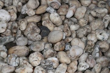 A Close-Up of Smooth, White River Stones