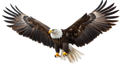 A majestic eagle in a landing pose with wings partially spread, its sharp talons visible, occupying 75 percent of the image on a transparent background 
