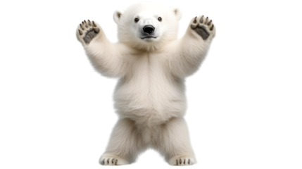 A polar bear standing on its hind legs with white fur glistening, taking up 65 percent of the image, exuding both power and gentleness on a transparent background 