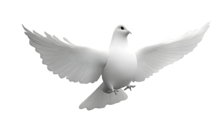 A serene white dove in flight with outstretched wings, occupying 65 percent of the image and symbolizing peace on a transparent background 