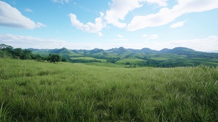 Fototapeta premium Serene Grassland Landscape