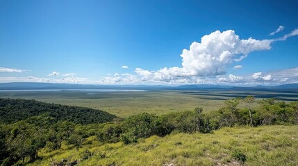 Fototapeta premium Vast Savanna Landscape Under Blue Sky