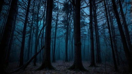 Fototapeta premium Eerie blue twilight descends upon the silent misty forest creating a mysterious atmosphere