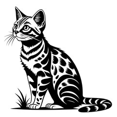 Obraz premium African Black-footed Cat silhouette vector illustration on white background.