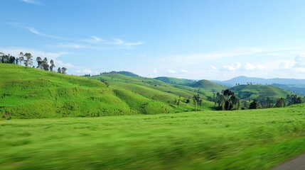 Fototapeta premium Rolling Green Hills Landscape