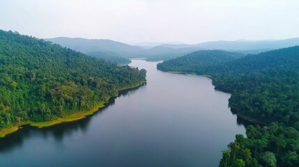 Serene Tropical Lake and Forest