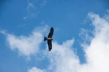 The sky is an unobstructed view upward from the surface of the Earth. It includes the atmosphere and outer space