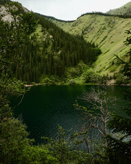 Fototapeta premium lake in the forest