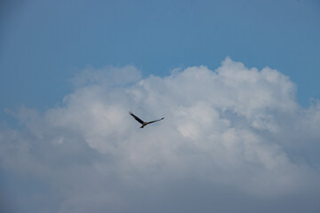 The sky is an unobstructed view upward from the surface of the Earth. It includes the atmosphere...