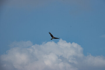 The sky is an unobstructed view upward from the surface of the Earth. It includes the atmosphere...