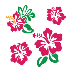 Floral Vector Illustration for Creative Design