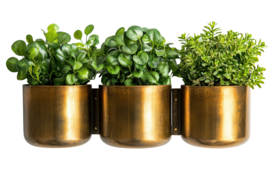 Decorative wall planter with three lush green plants in brass pots for modern home decor