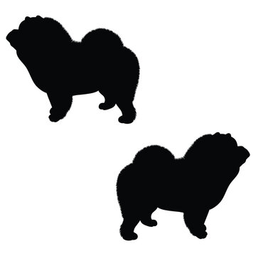 recommend clip art: Chow Chow Silhouette, Chow Chow Vector Silhouette, Chow Chow cartoon Silhouette, Chow Chow illustration, Chow Chow icon Silhouette, Chow Chow Silhouette illustration
