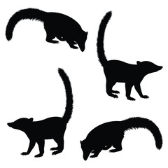 Raccoon Silhouette, Raccoon Vector Silhouette, Raccoon cartoon Silhouette, Raccoon illustration, Raccoon icon Silhouette, Raccoon Silhouette illustration