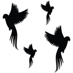 Cockatiel Silhouette, Cockatiel Vector Silhouette, Cockatiel cartoon Silhouette, Cockatiel illustration, Cockatiel icon Silhouette, Cockatiel Silhouette illustration