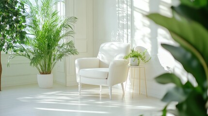 Obraz premium White armchair in a bright sunlit room with plants