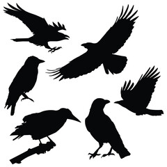 Crow Silhouette, Crow Vector Silhouette, Crow cartoon Silhouette, Crow illustration, Crow icon Silhouette, Crow Silhouette illustration