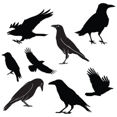 Crow Silhouette, Crow Vector Silhouette, Crow cartoon Silhouette, Crow illustration, Crow icon Silhouette, Crow Silhouette illustration