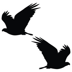 Obraz premium Crow Silhouette, Crow Vector Silhouette, Crow cartoon Silhouette, Crow illustration, Crow icon Silhouette, Crow Silhouette illustration