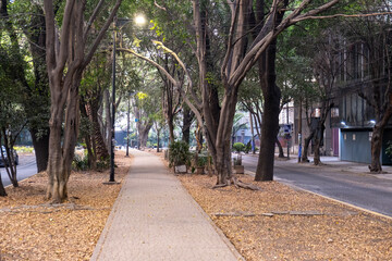 A leafy green, tree-lined pedestrian median of the streets of the trendy La Condesa neighborhood in...
