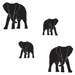 Fototapeta premium Elephant Silhouette, Elephant Vector Silhouette, Elephant cartoon Silhouette, Elephant illustration, Elephant icon Silhouette, Elephant Silhouette illustration