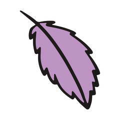 Feathers flat design illustration 