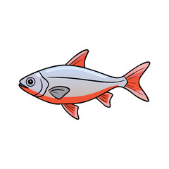 Silver and red fish vector illustration, Vector illustration of a sleek fish with silver and red tones, perfect for aquatic, marine, or tropical-themed designs and artwork.  
