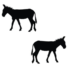 Donkey Silhouette, Donkey Vector Silhouette, Donkey cartoon Silhouette, Donkey illustration, Donkey icon Silhouette, Donkey Silhouette illustration