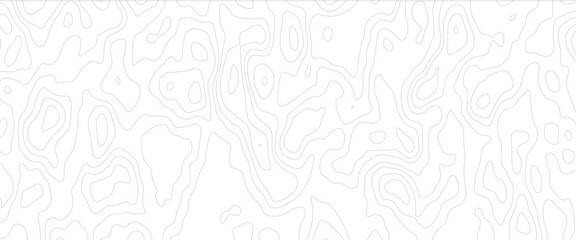 Abstract wavy topographic map. Abstract wavy and curved lines background. 